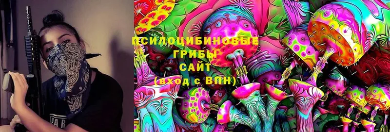 купить наркоту  Белозерск  Галлюциногенные грибы Cubensis 